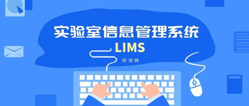 我的第一位導師與三句真言 網絡技術開發的航標